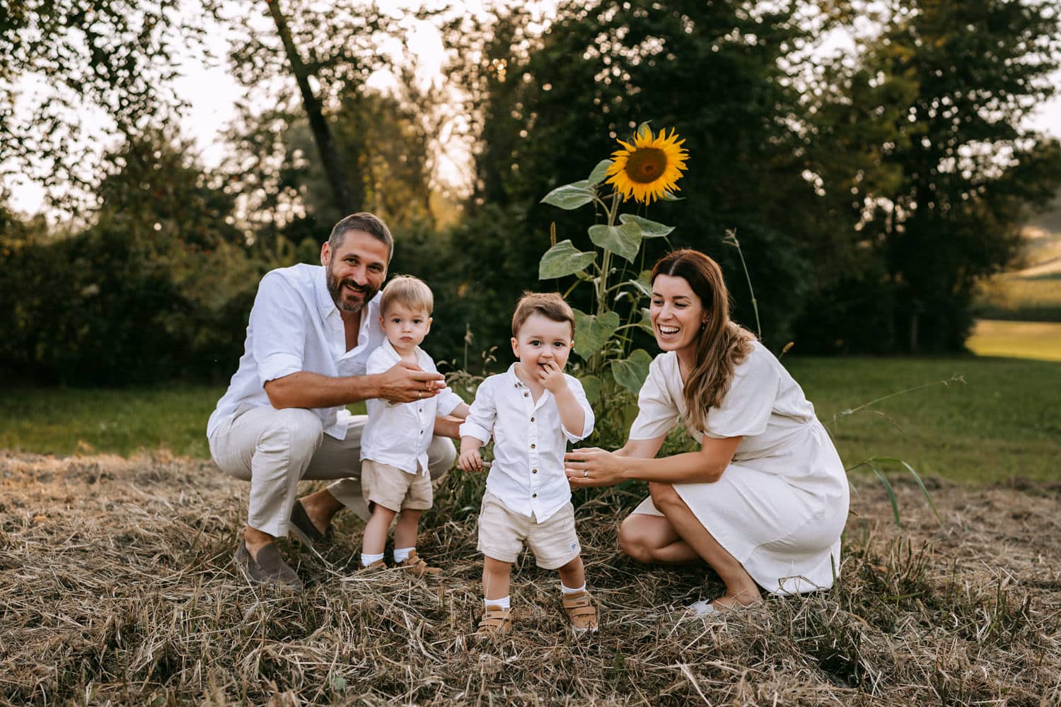 familienfotos-2 Familie mit Zwillingen im Freien bei Sonnenuntergang inmitten von Sonnenblumen